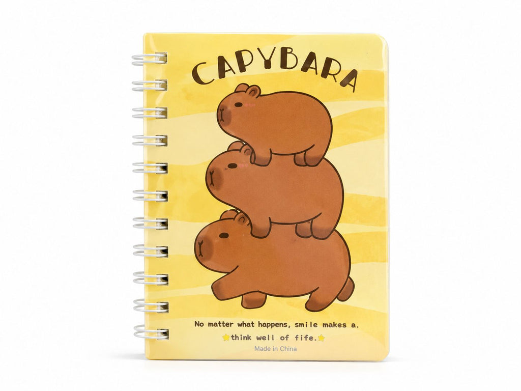 Small Diary set | set of 4 piece