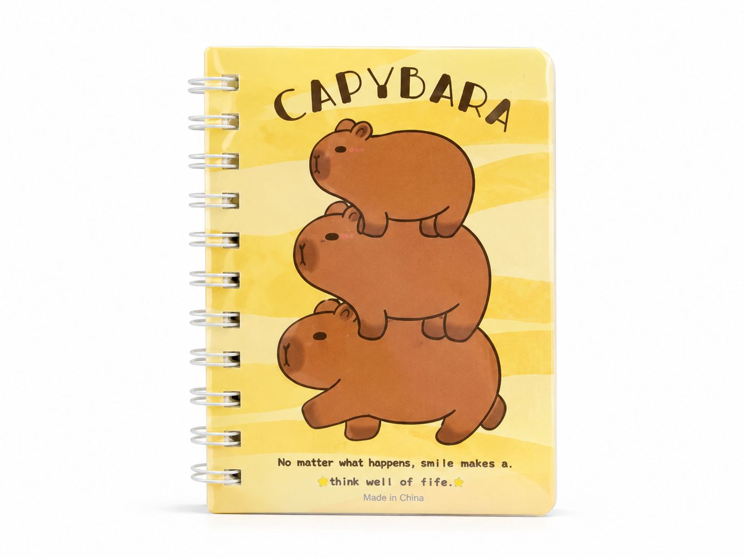 Small Diary set | set of 4 piece